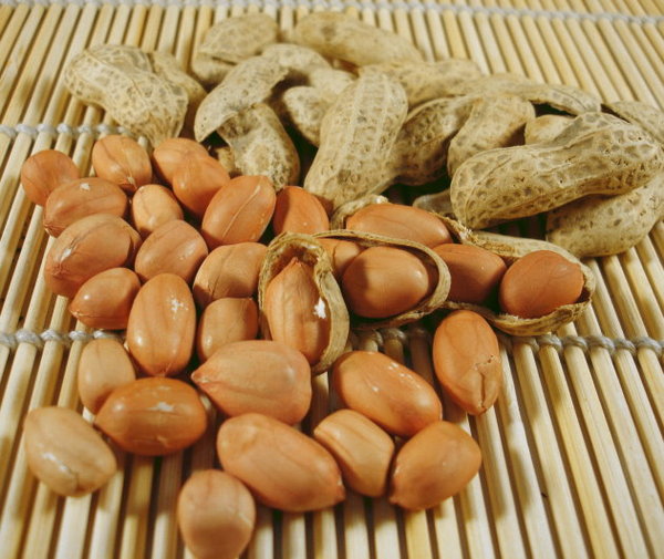 金讚成食品行:新港美食-金讚成花生糖&鴨肉羹