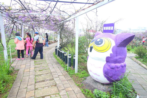 【台北旅遊】淡水紫藤花咖啡園-紫藤綻放紫色夢幻