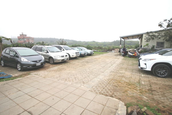 【台北旅遊】淡水紫藤花咖啡園-紫藤綻放紫色夢幻