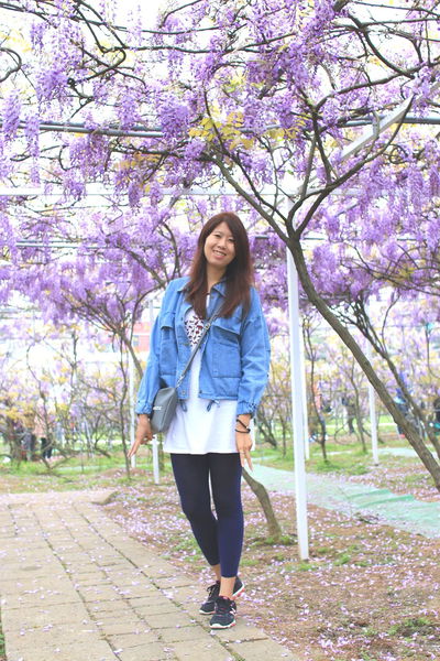 【台北旅遊】淡水紫藤花咖啡園-紫藤綻放紫色夢幻