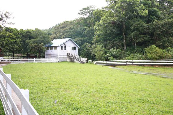 【台北旅遊】三峽皇后森林-童話故事般的親子森林遊樂區-露營烤肉