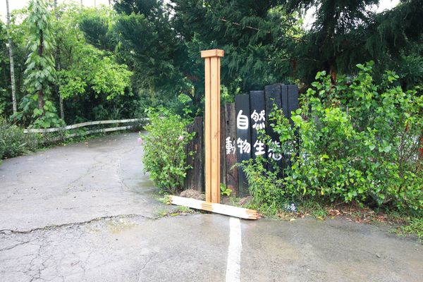 【台北旅遊】三峽皇后森林-童話故事般的親子森林遊樂區-露營烤肉