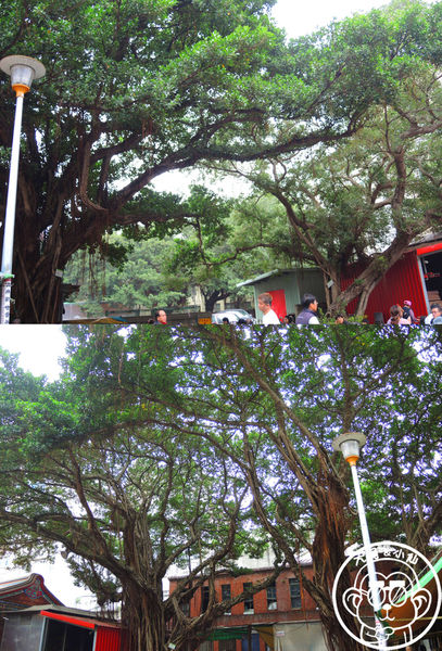 慈聖宮(Tsu-Sheng Temple)：呷飽祙【台北大同･大稻埕慈聖宮 美食廣場】必點魩仔魚炒飯+肉粥和炸物