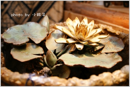 陶轤食堂:玩不停「陶轤食堂」小小博物館內用餐