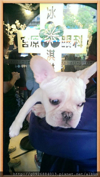 197814_568438133176899_209055538_n