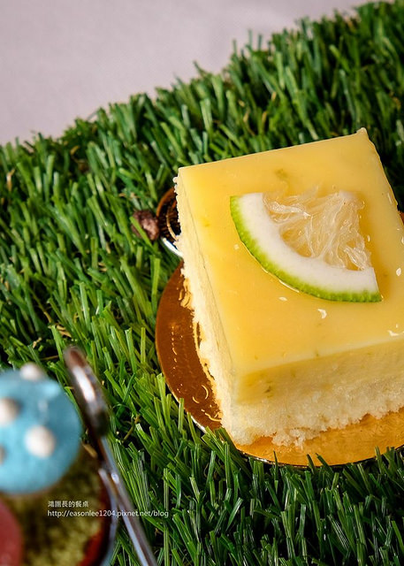 13483305_1140019686019016_972782388129874693_o