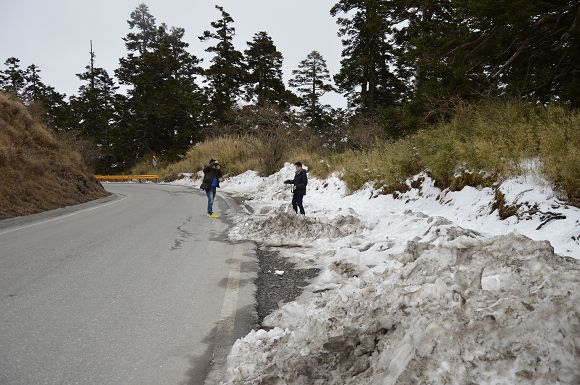 合歡山賞雪