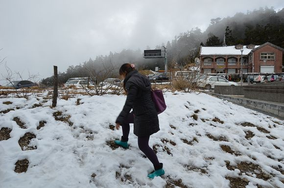 合歡山賞雪