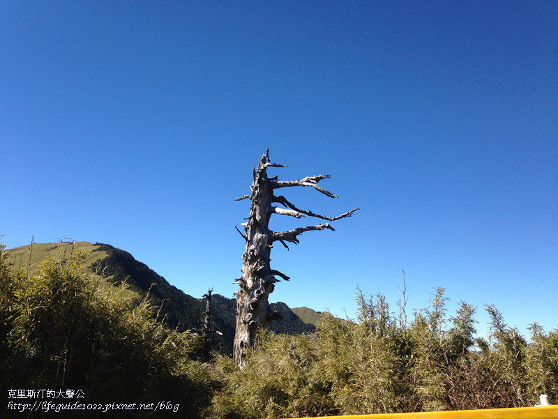 武陵&福壽山 1717_副本.jpg