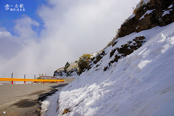 合歡雪2014