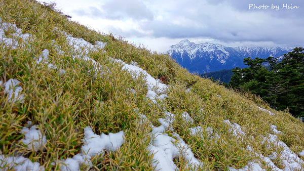合歡山賞雪