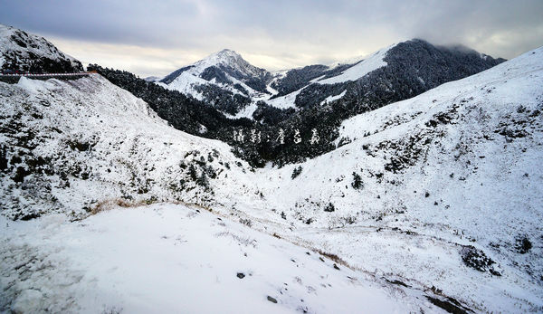 合歡山賞雪