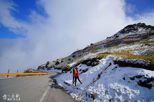 合歡雪2014