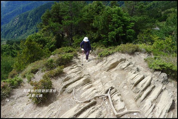合歡北峰55.JPG