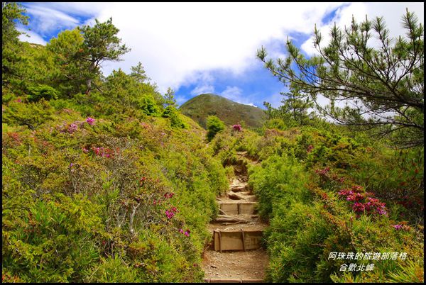 合歡北峰2.JPG