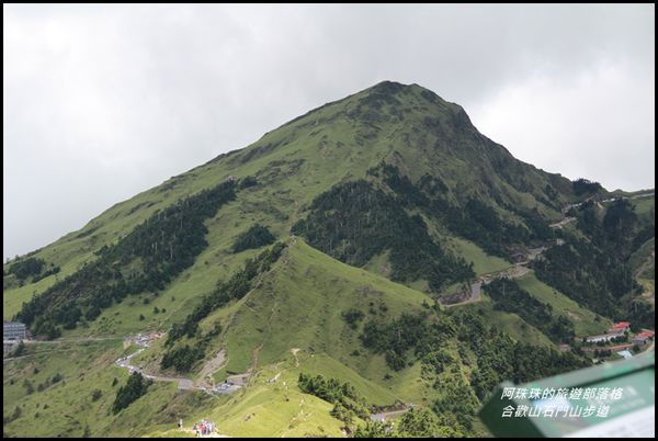合歡山42.JPG