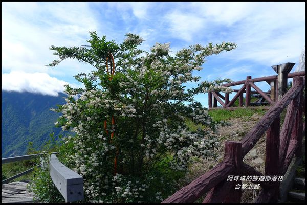 合歡北峰38.JPG
