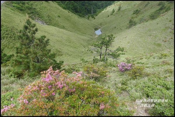 合歡北峰51.JPG