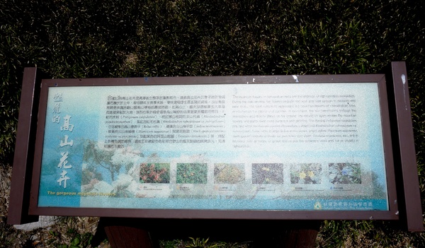 合歡山主峰：2015.05.16 合歡賞高山杜鵑 (圖多)