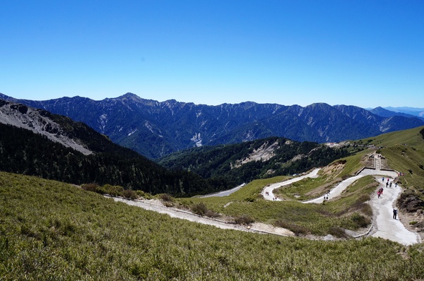 合歡山主峰：2015.05.16 合歡賞高山杜鵑 (圖多)