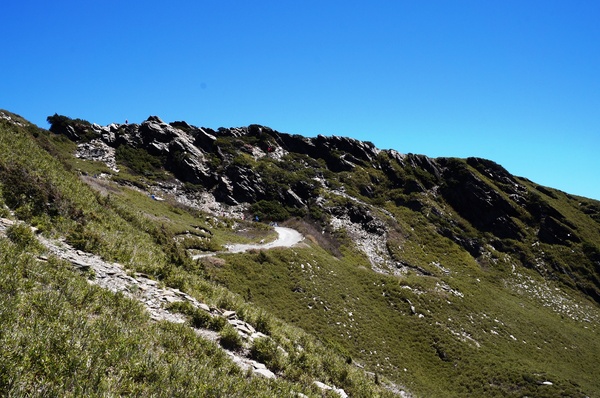 合歡山主峰：2015.05.16 合歡賞高山杜鵑 (圖多)