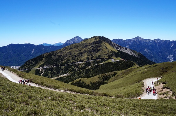 合歡山主峰：2015.05.16 合歡賞高山杜鵑 (圖多)