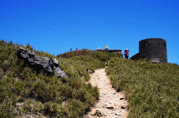 合歡山主峰：2015.05.16 合歡賞高山杜鵑 (圖多)