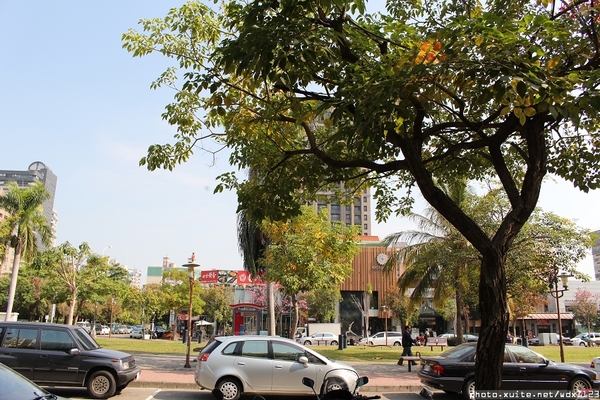 安徒生童話鄉村廚:安徒生童話鄉村廚✪溫馨可愛的餐廳,親子聚餐的好去處~103.01.09