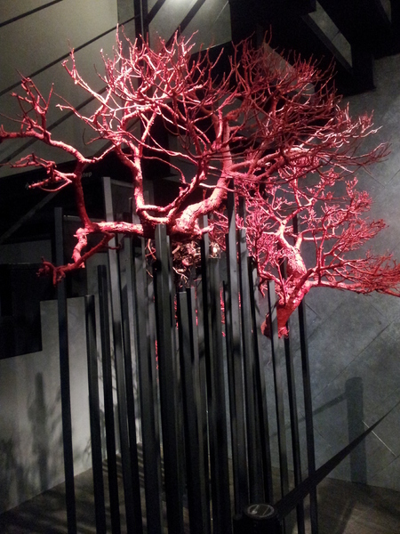 屋馬燒肉(中港店):【台中中港店】屋馬燒肉 精緻單點的享受-鮮嫩肉質與雞湯的完美搭配