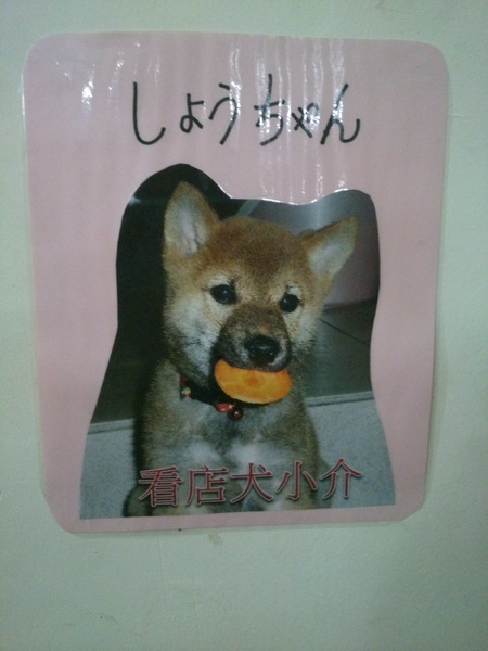 木下食堂：來自日本札幌的木下先生開的〞木下食堂〞咖哩專賣店--超好吃又便宜的!一定會再去的啦~