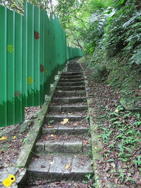 【台北 旅遊】滿月圓森林遊樂區、三峽老街一日遊