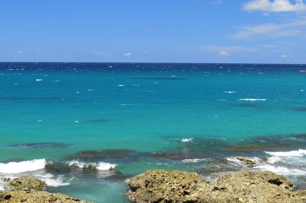 小杜包子:來墾丁不能錯過的美味【墾丁/小杜包子】