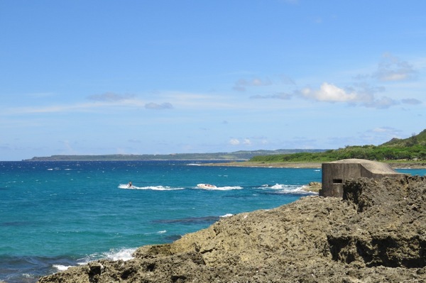 小杜包子:來墾丁不能錯過的美味【墾丁/小杜包子】