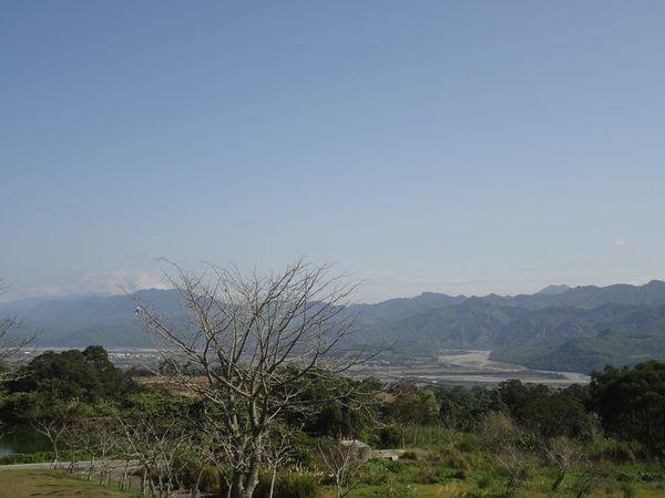 鹿野高台：1020119[官本金文愛台灣]鹿野高台美麗的大高原就算沒有熱氣球加持依然綠意盎然