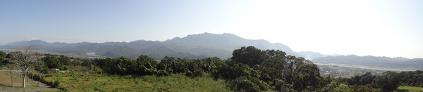 鹿野高台：1020119[官本金文愛台灣]鹿野高台美麗的大高原就算沒有熱氣球加持依然綠意盎然