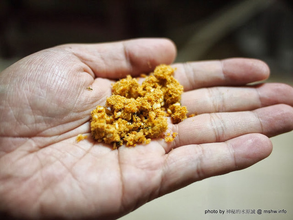 味益食品行:【食記】屏東東港-味益食品專業鬆品專賣店-鮪魚鬆,花殼脆鬆 : 傳承古法技藝,外銷歐洲的獨特肉品