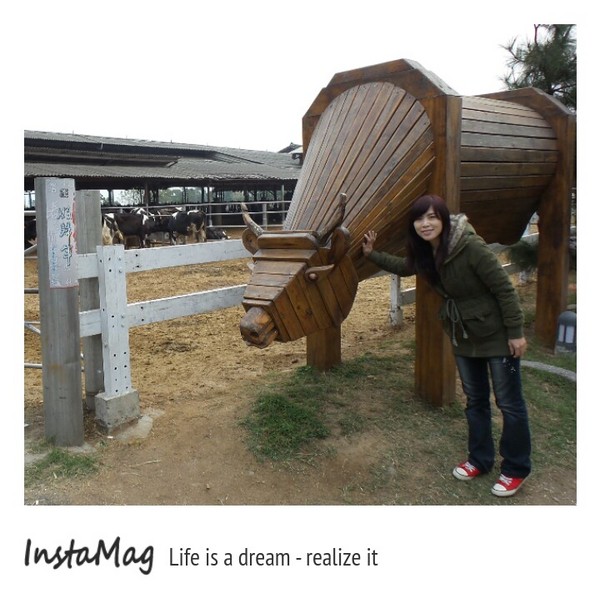 禾家牧場：會偷親人的牛&彰化禾家牧場