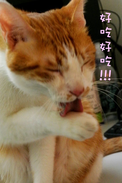 cm20130903___9bb178b6c21cb3111c1f9af617e