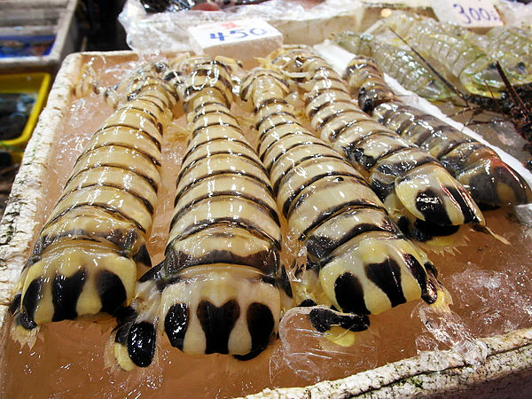 碧砂漁港:【基隆】碧砂漁港。現殺海膽好美味