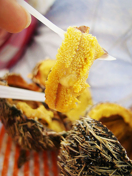 碧砂漁港:【基隆】碧砂漁港。現殺海膽好美味