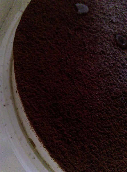 提拉米蘇精緻蛋糕(彰化店)：提拉米蘇精緻蛋糕 精緻美味評價的高級享受