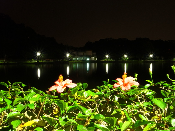 碧湖公園：<遊記> 4/20內湖媽祖煙火祭就在碧湖公園