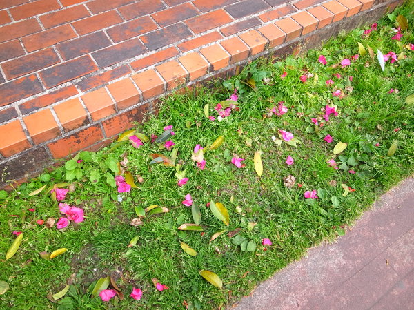 碧湖公園：<遊記> 4/20內湖媽祖煙火祭就在碧湖公園