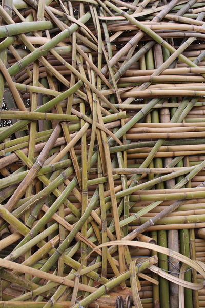 碧湖公園:4千根竹子編成! 內湖夢幻新地標「碧湖織屋」
