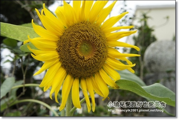 碧湖公園:台北。內湖新亮點【碧湖織屋】