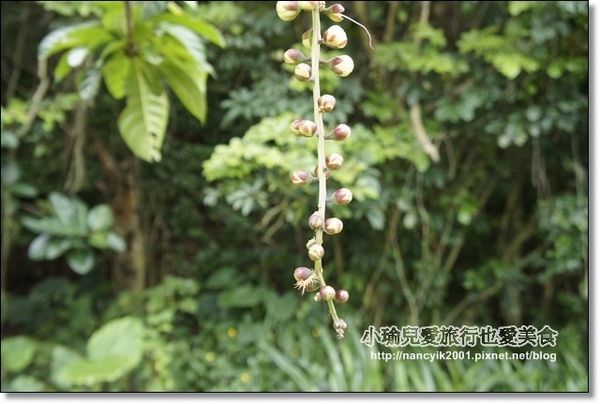 碧湖公園:台北。內湖新亮點【碧湖織屋】