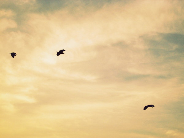 cm20130721_144431_61158_0731d508118ab869