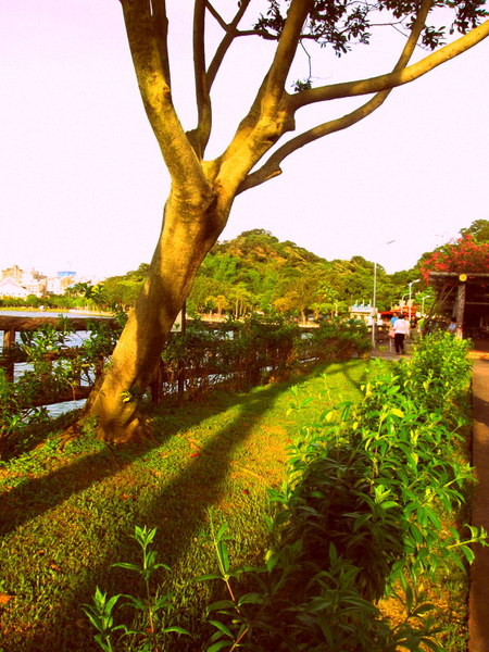 cm20130720_144431_61158_af53b4edee59b17a