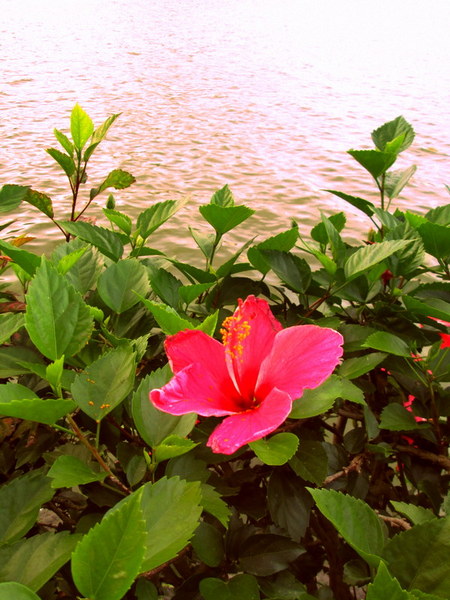 cm20130720_144431_61158_cc257f9850ec7981