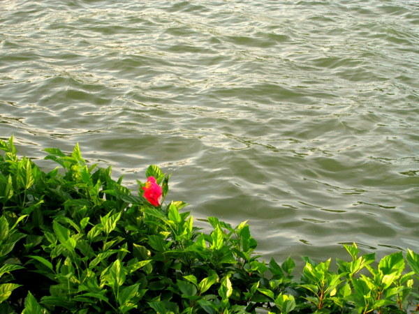 cm20130720_144431_61158_34c3bc5db313d0db